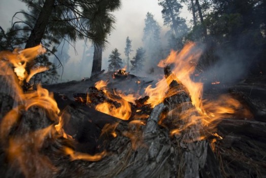 Incendi e tragedie naturali: va cambiata l'organizzazione dei soccorsi