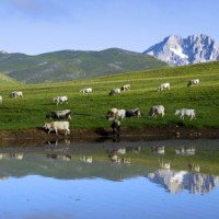 La Cgil abruzzese e i parchi: 25 anni fa la proposta della Riserva del Genzana