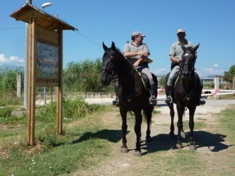 No allo scioglimento del Corpo Forestale, presidio di legalità nella Regione dei Parchi